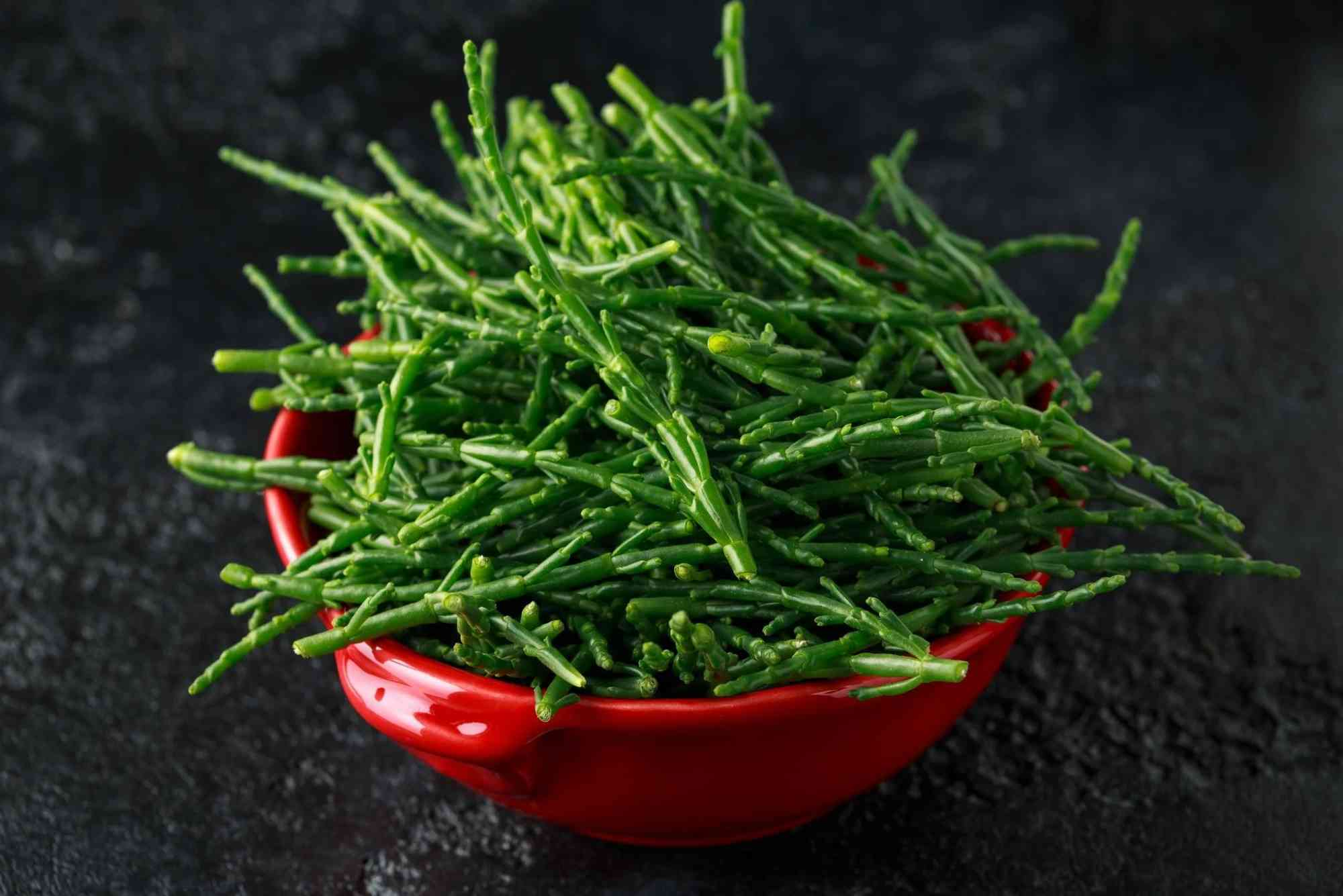 Salicornia Health Benefits