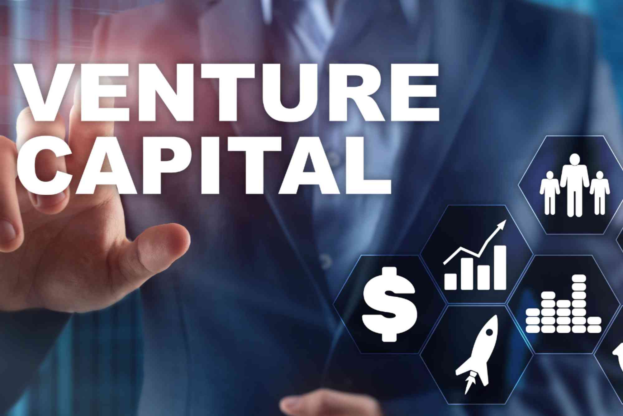 Define Venture Capitalist